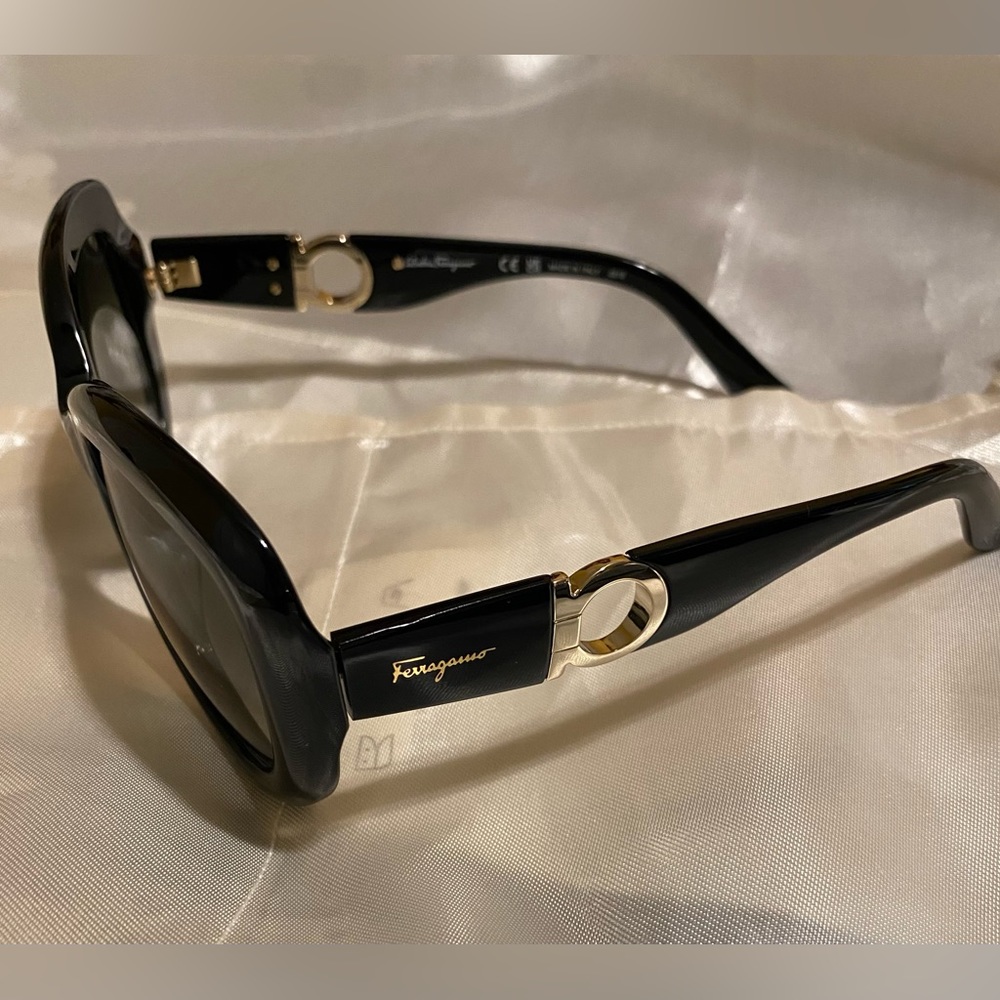 Salvatore Ferragamo NEW AUTHENTIC Sunglasses Original Hard case No Box